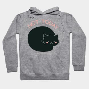 Lazy Cat Nope not Today funny sarcastic messages sayings and quotes Hoodie